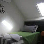 Clerigus
